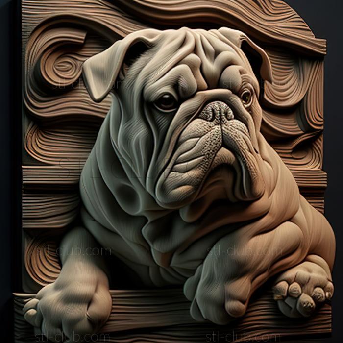 st Alapakh Bulldog dog